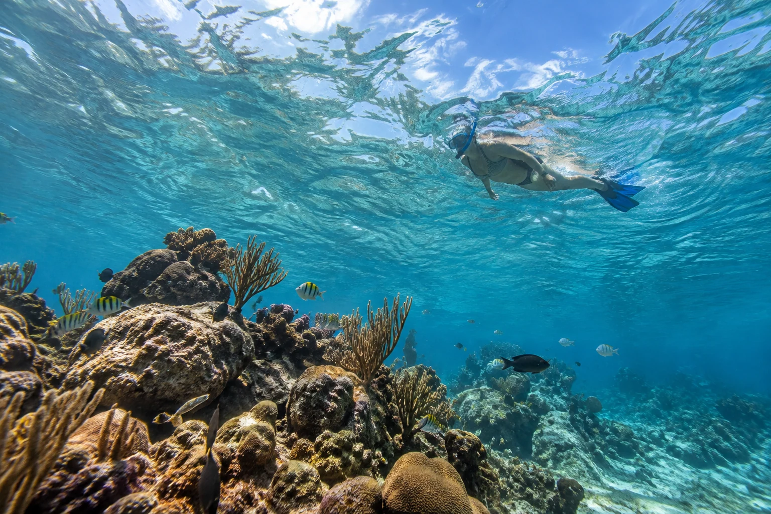 Catalina Island Tour from Aloft Santo Domingo Piantini