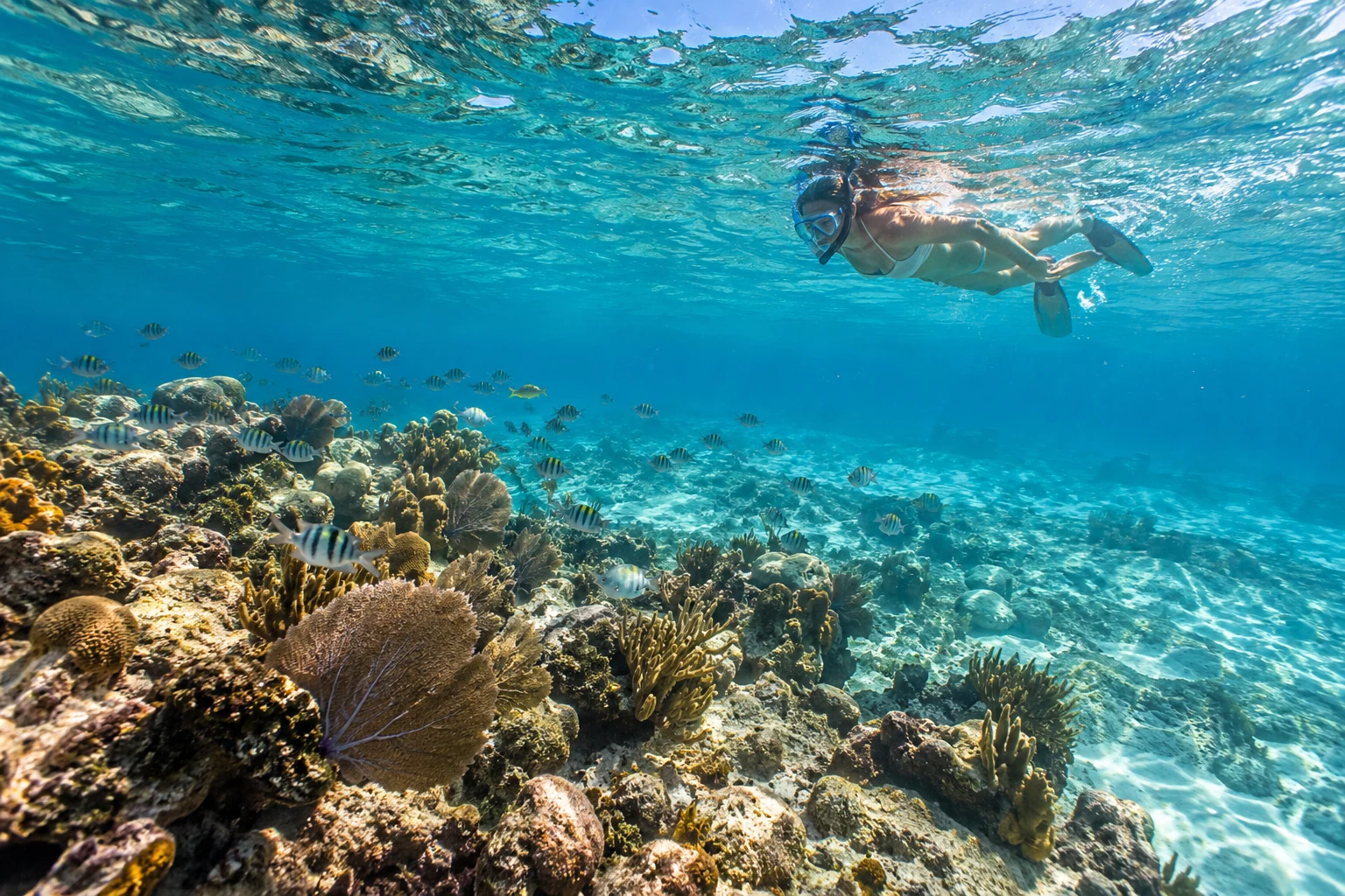 Catalina Island Tour from Dreams Macao Beach Punta Cana