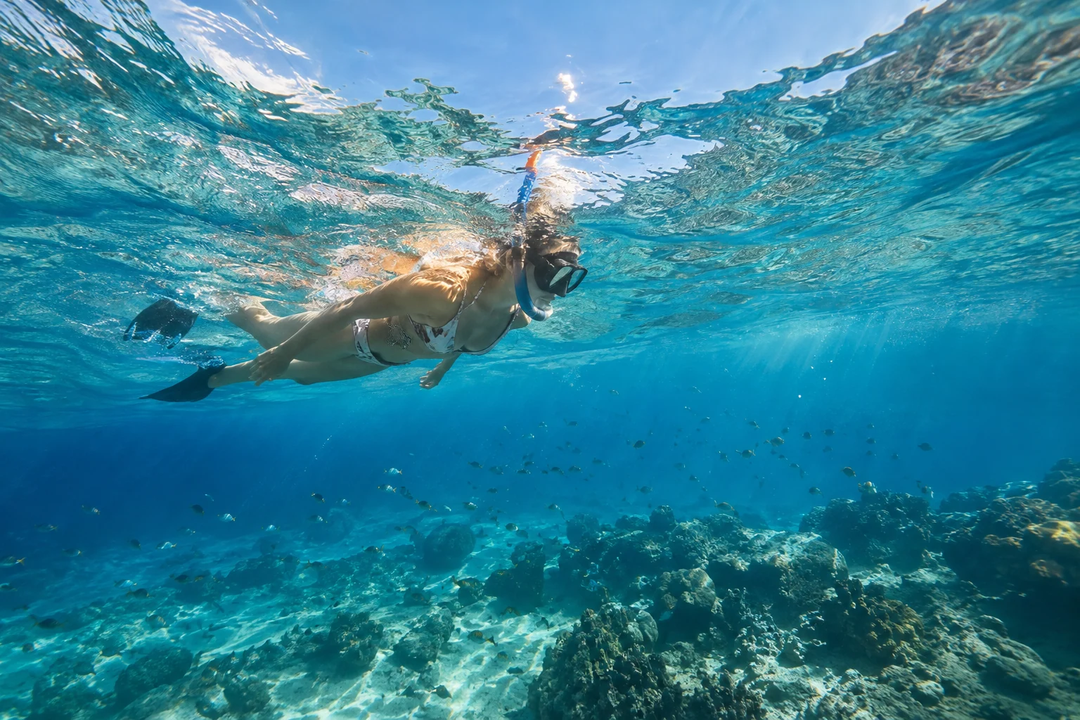 Catalina Island Tour from Juan Dolio: Transfers & Planning