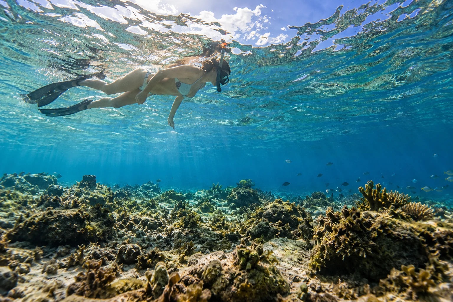 Catalina Island Tour from Playa Nueva Romana: Transfers & Planning