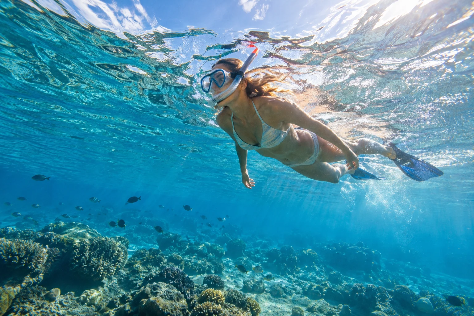 Catalina Island Tour from Playa Palmera Beach Resort & Residential