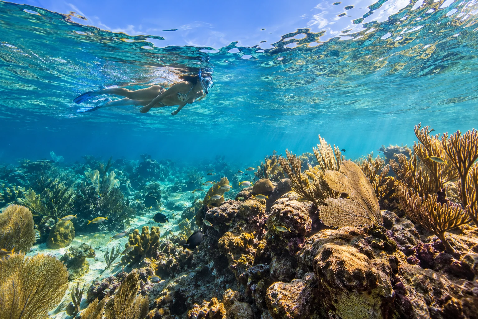 Catalina Island Tour from Royalton Splash Punta Cana, An Autograph Collection All-Inclusive Resort & Casino
