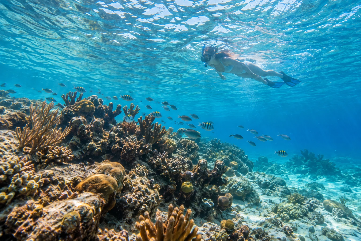Catalina Island Tour from Zemi Miches Punta Cana All-Inclusive Resort, Curio Collection by Hilton